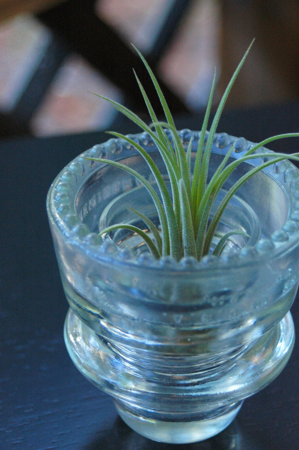 repurposed antique electric line insulator vase