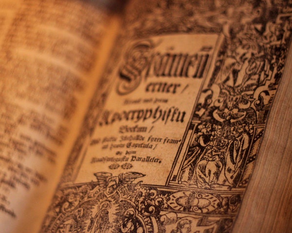 Antique book, Iceland, 8x10 photo brown black