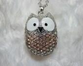 B81-Silver Plating Cute Cubic Detailed Owl Necklace