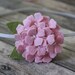 Pink Flower Headband - Wool Felt Mini Hydrangea on Skinny Elastic Headband or Hair Clip - Newborn Baby Headband to Adult Headband