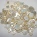Vintage Mother of Pearl Button Lot MOP Shell Buttons