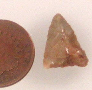 Bird Point Arrowheads