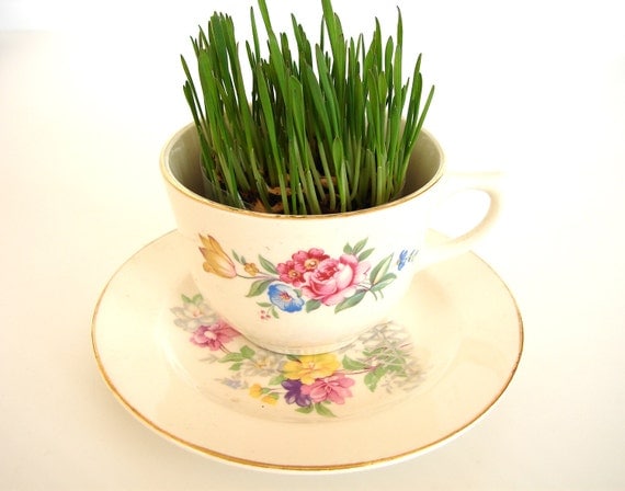 Grow-It-Yourself Grass Kit in Vintage Tea Cup and Saucer - Spring Garden / Garden Party Decor, Centerpiece, Favors