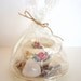 Grow-It-Yourself Grass Kit in Vintage Tea Cup and Saucer - Spring Garden / Garden Party Decor, Centerpiece, Favors