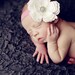 Baby Girl Flower Headband - Baby Flower Headband - Baby Girl Headband - Baby Headband - Large White Flower On Pink Headband