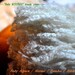 4oz boucle YARN Baby Alpaca-Merino-Bamboo ECRU