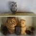 Hooo is your Savior , Owl nativity featuring Vintage Owls and Bread Pan