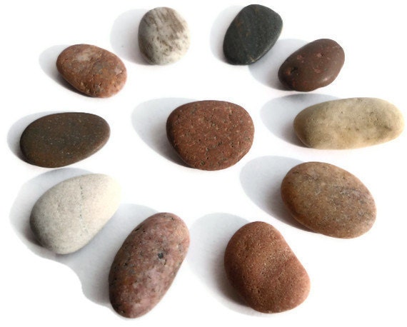 Natural Beach Stones - Baltic Sea/ Beach near small village of Saulkrasti -Different Shades