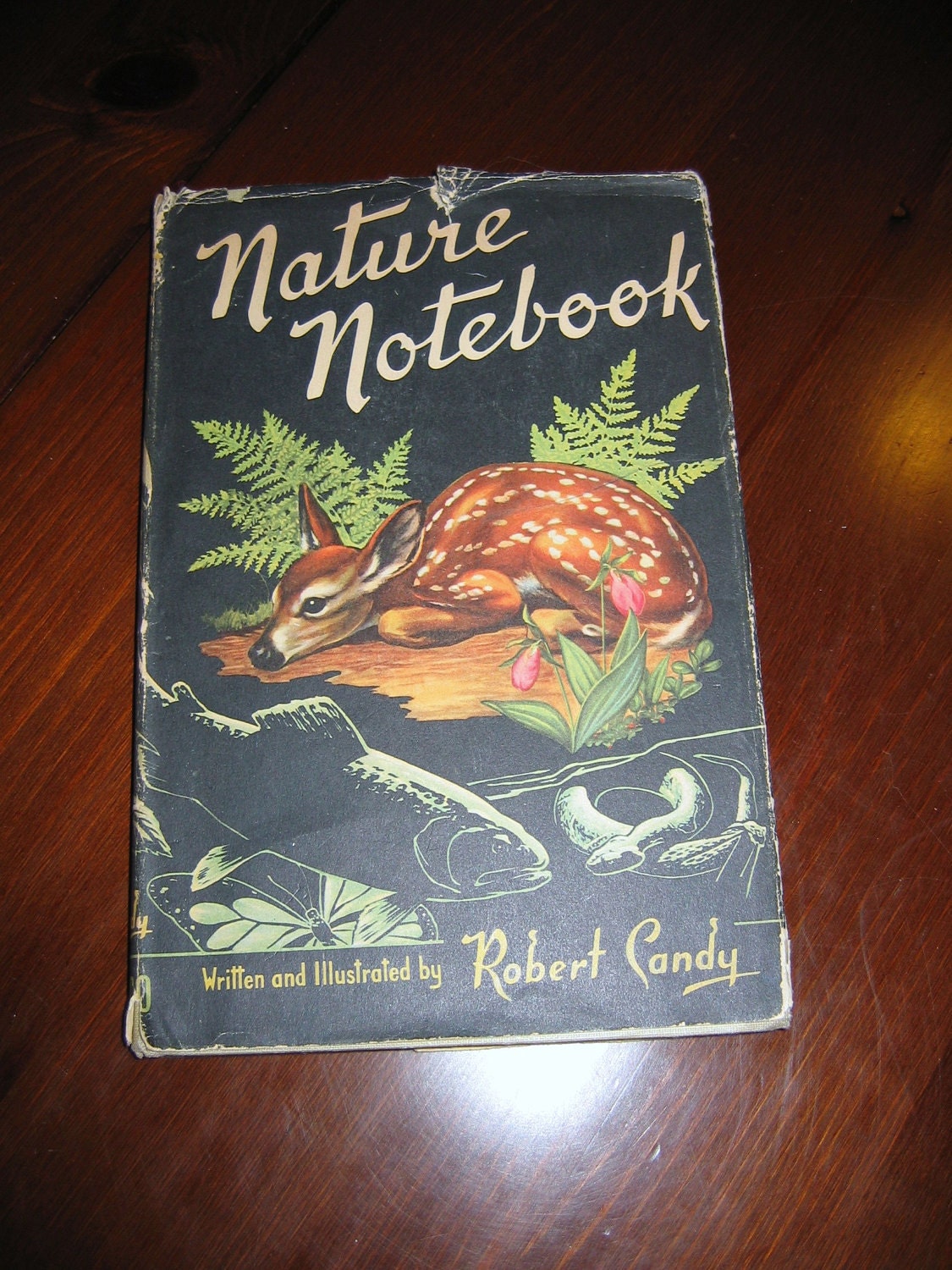 Rare Childrens Nature Book Titled Nature's Notebook by Robert Candy - 1953