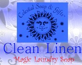 Clean Linen Natural VEGAN Laundry Soap Powder  Bag - 40-80 LOADS Gross Wt. 44 oz..