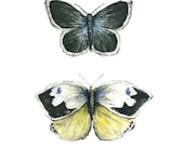 butterflies watercolor giclee print // BLUE & YELLOW BUTTERFLIES // 8 x 10 inches - art print