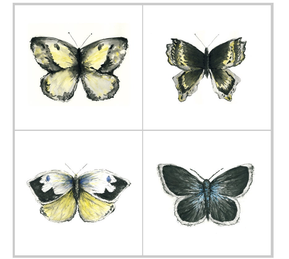 butterfly giclee print set - four 5x5 inch prints - butterfly watercolor prints // art print/ home decor