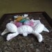 The Easter Bunny donated his body to science