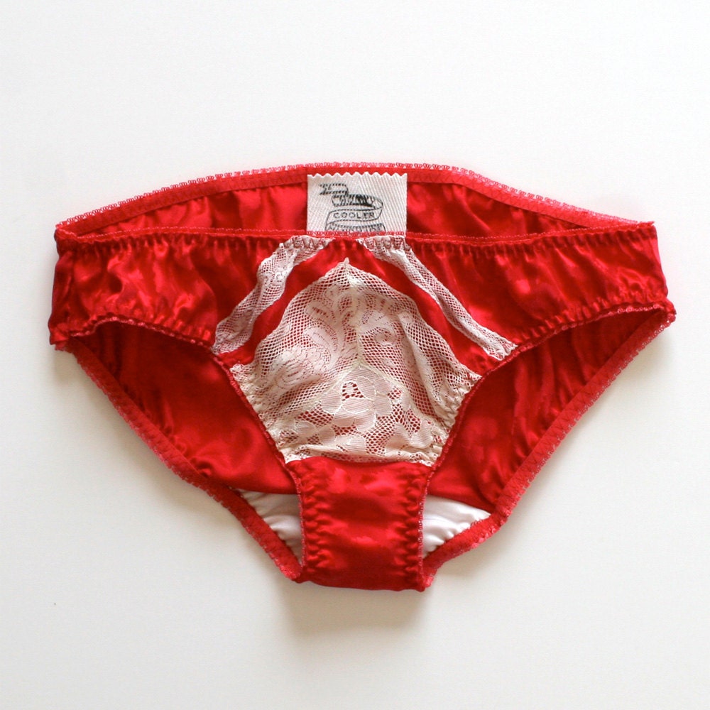 Underwear Silk Lace Panties Lingerie / Red Ivory White Chevron Vintage Jacquard / Medium - Lise Knickers