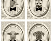 Baby Animals Collage Print - photo booth poster - collage 8x10 french dictionary book - animal portrait poster - Art Print