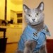 dog studded jacket / little ghoulish / studded denim jacket with inverted crosses
