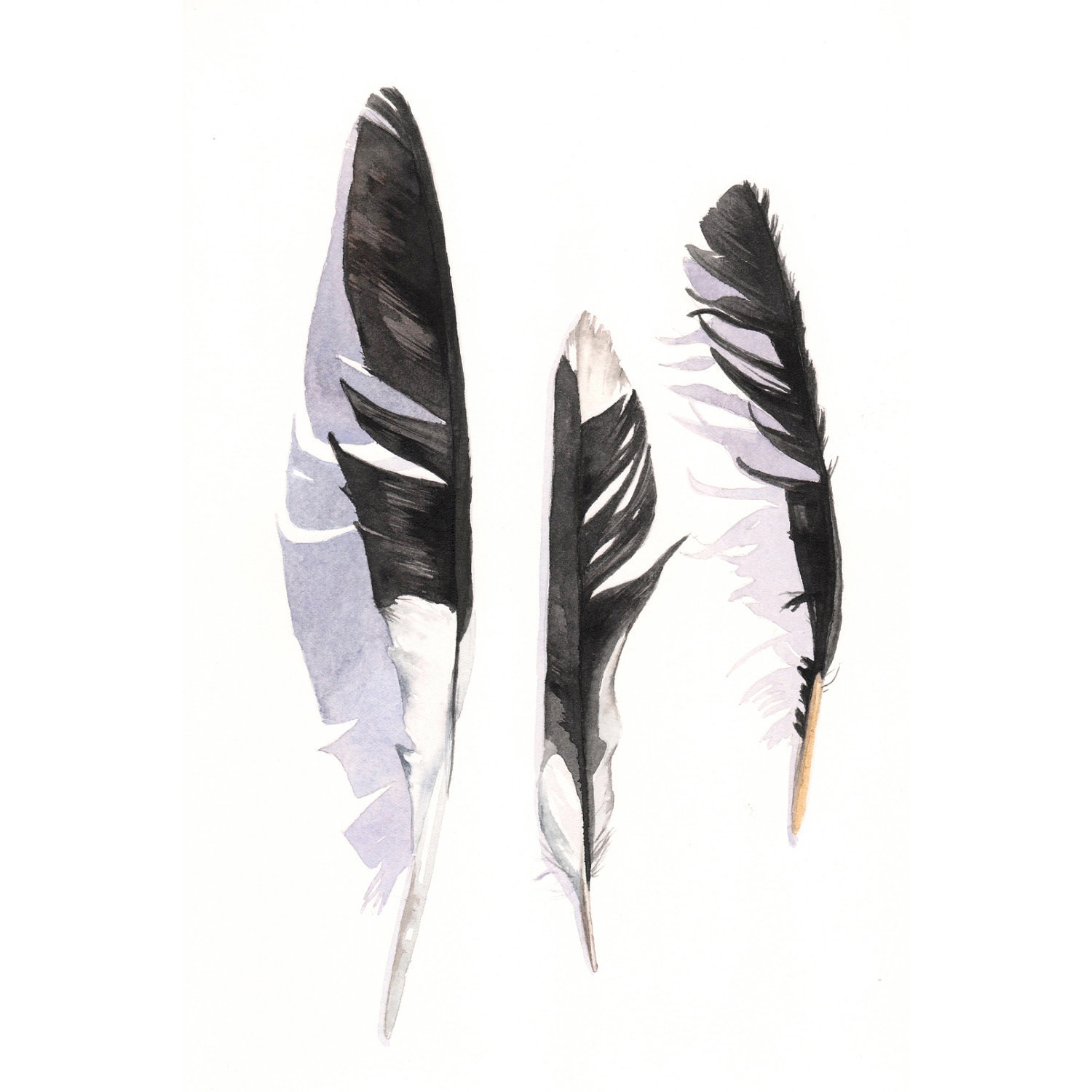 Magpie Feather Painting 3 ORIGINAL watercolor painting