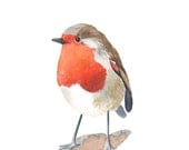 Robin Painting-  R002 Bird Print of watercolor painting A4 - Splodgepodge
