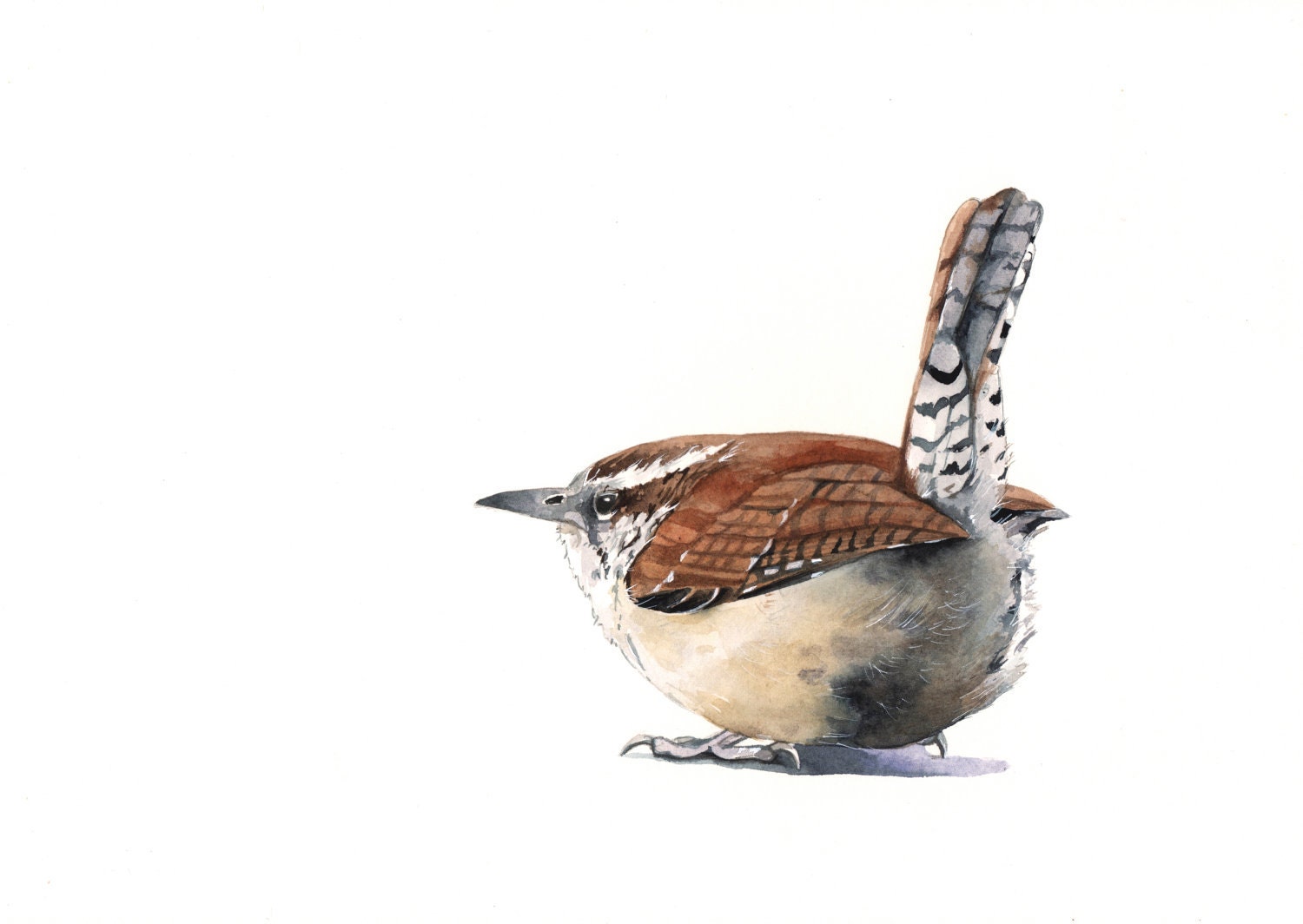 Wren Painting - W001- bird wildlife art nature brown-  print of watercolor painting -5 by 7 print - Splodgepodge