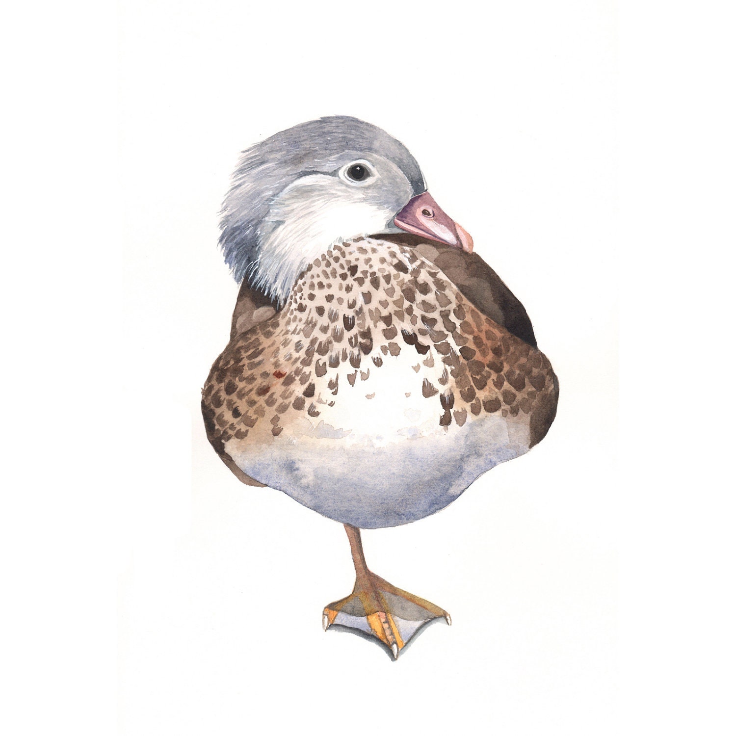 Duck painting -bird art nature wildlife - Print of Watercolor Painting A4 print
