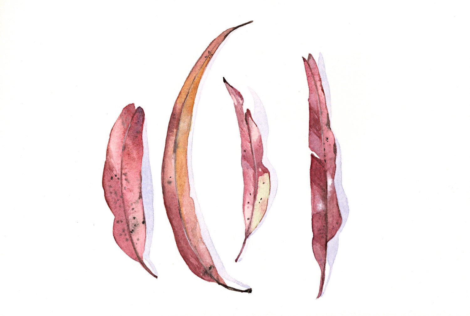 Eucalyptus Leaves Painting -E022- print of watercolor painting 5 by 7