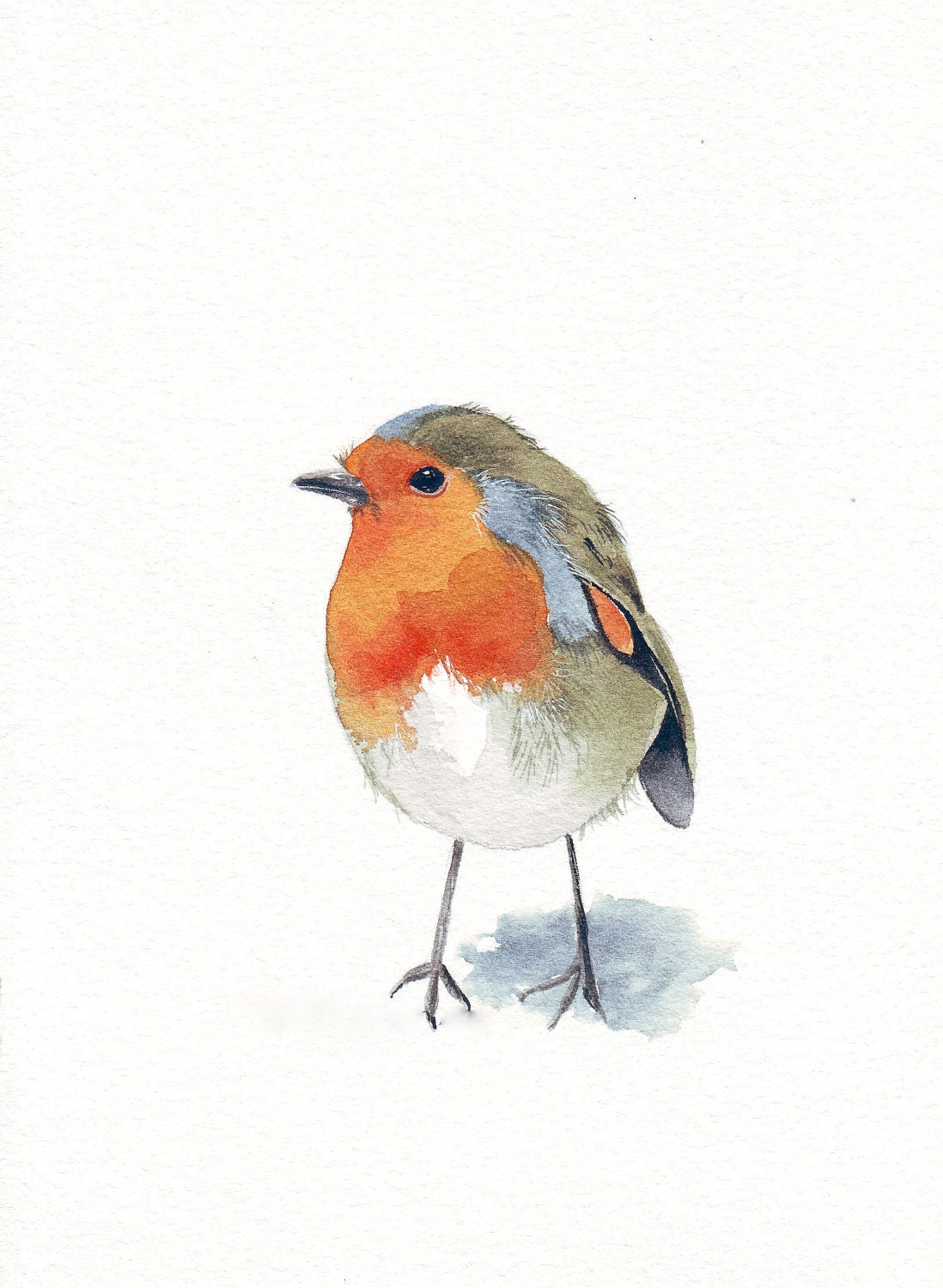 Robin Painting bird - R042- Print of watercolor painting - 5 by 7 print