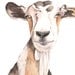 Goat painting  - print of watercolor painting A4 print