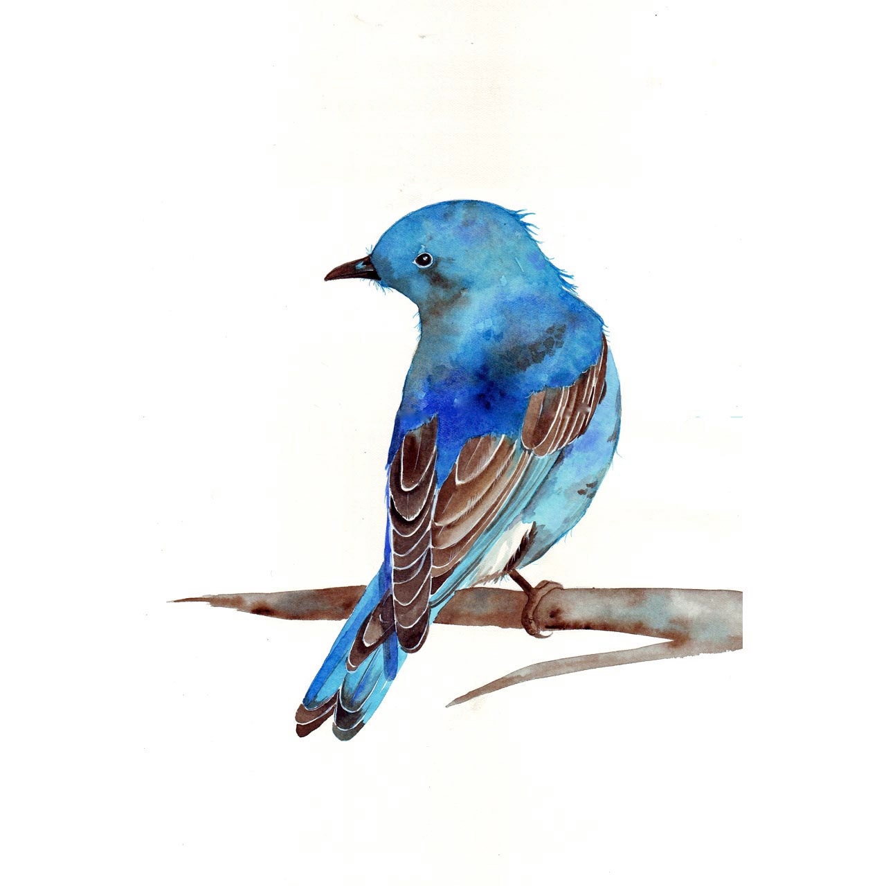 Bluebird watercolor painting - print of watercolor painting- 5 by 7 print