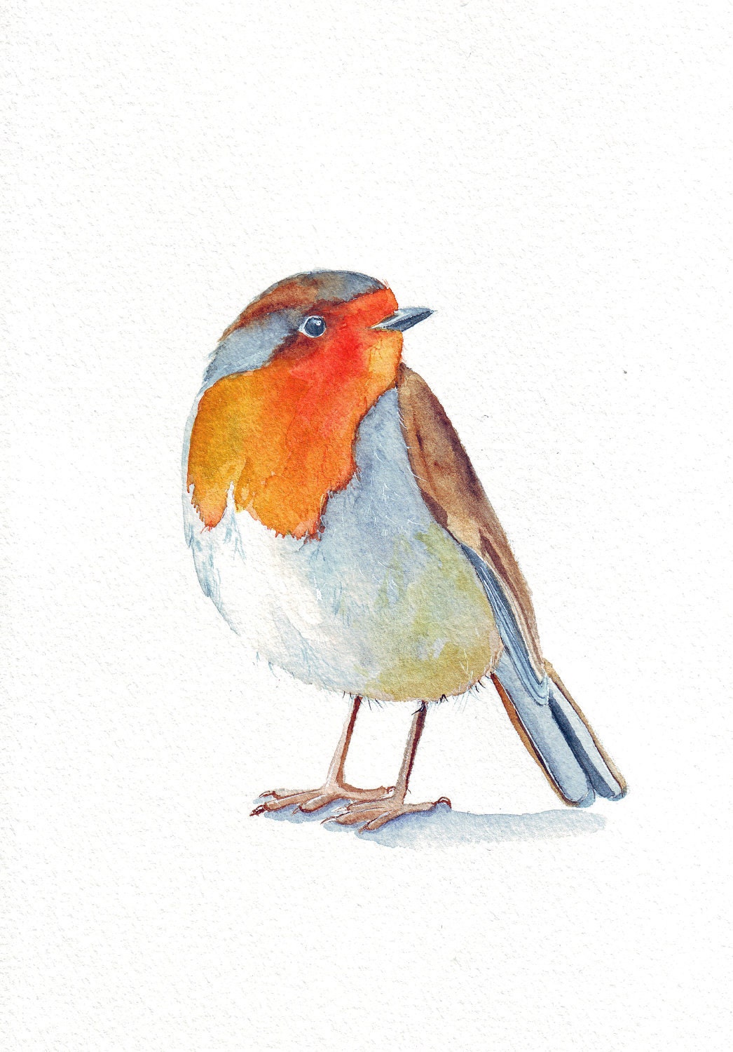 Robin painting -  ORIGINAL watercolor painting