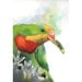 Parrot Painting - green wildlife nature art - Print of watercolor painting 5 by 7 print