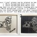 Florida: The Sunshine State - White Background - 8x10 Illustrated Wall Art by Mandipidy