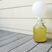 DIY Homebrew Kit Home Brew Ginger Ale Soda Pop