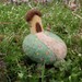 Yellow Cottage on a Hill Pin Cushion- Needle Felted Wool - MADE TO ORDER