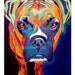 Colorful Pet Portrait Boxer Dog Art Print 16x20by Alicia VanNoy Call