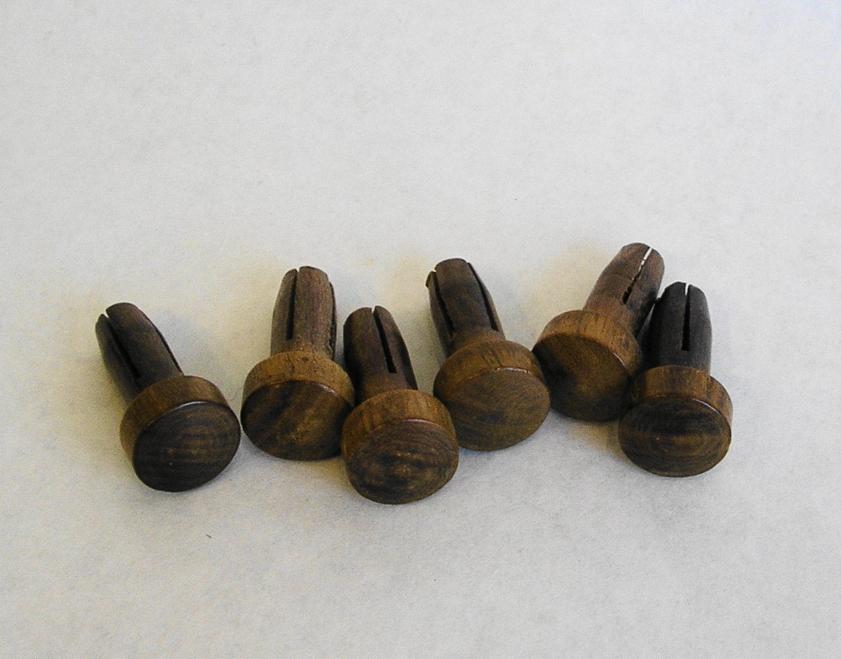 Vintage Stringed Instrument Tuning Pegs