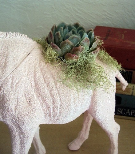 Pink Giraffe Animal Planter - Modern Art Centerpiece ( 8 WEEK DELIVERY)