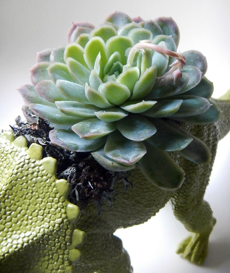 Moss Green Dinosaur Planter - Modern Centerpiece ( 8 WEEK DELIVERY)