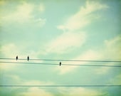 Bird on wire photography - mint green teal turquoise - clouds photography - baby nursery wall art prints - 8x10 Photo, "The Sky's The Limit"