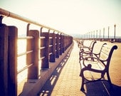 Fine Art Photography - brown wall art neutral landscape print gold cream beige photo - 10x15, 8x12, 8x10 Photograph - "Sit Awhile With Me"