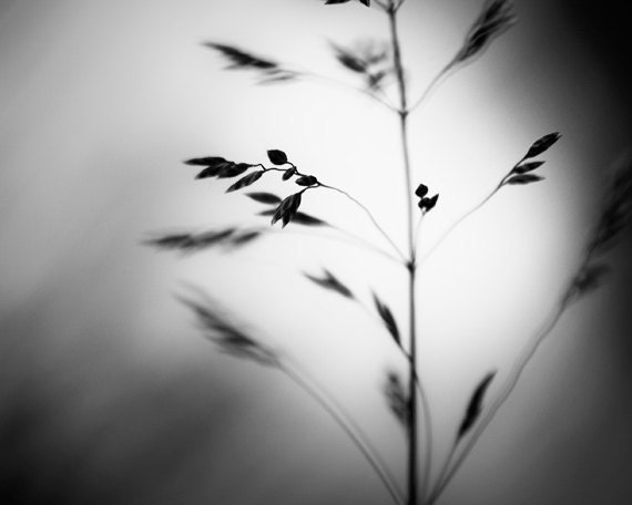 Black and White Photography - dark gray grey abstract photo print monochrome wall art monochromatic - 11x14, 8x10 Photograph, "Deep Within"