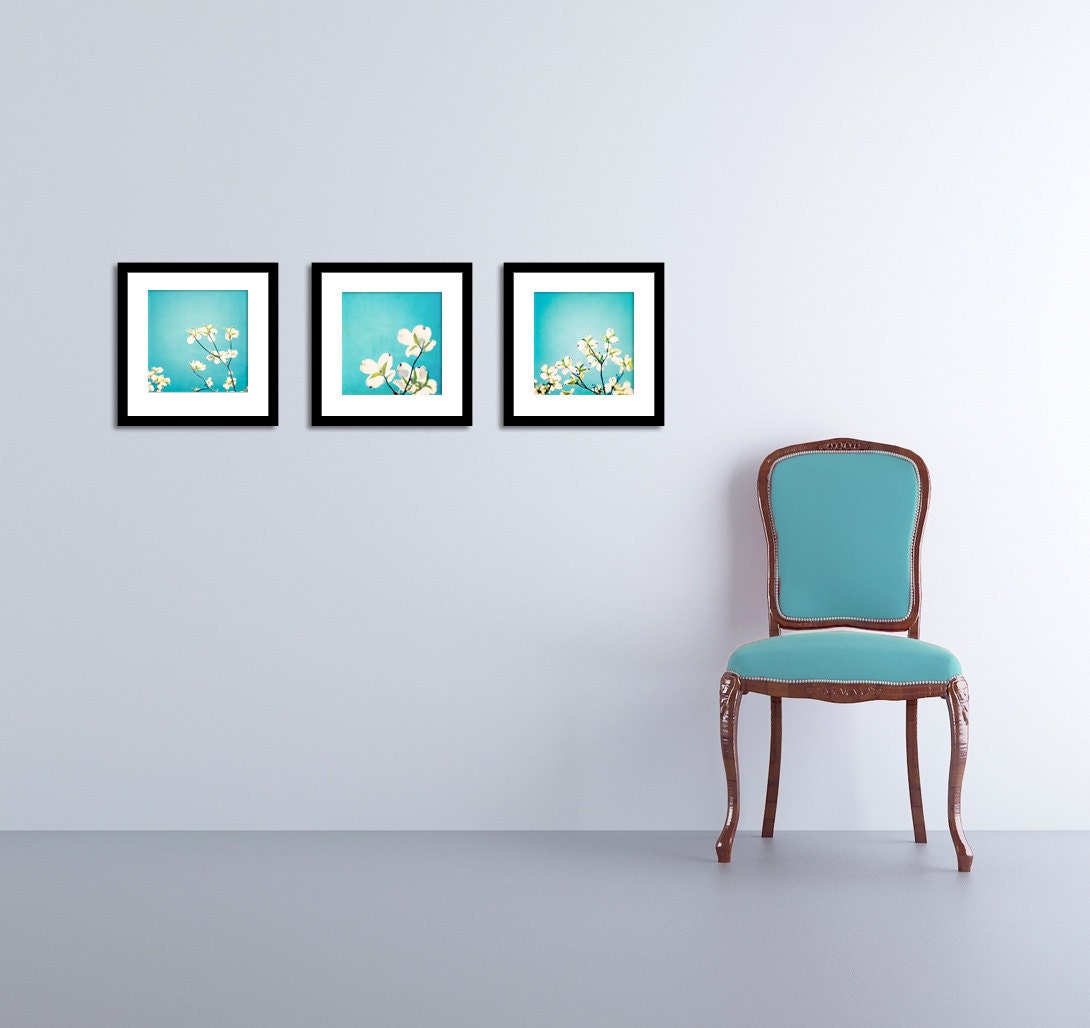 Aqua Photography Set - spring aqua decor blue dogwood flower photo print set white yellow floral photography teal sky, Three 8x8 Photographs