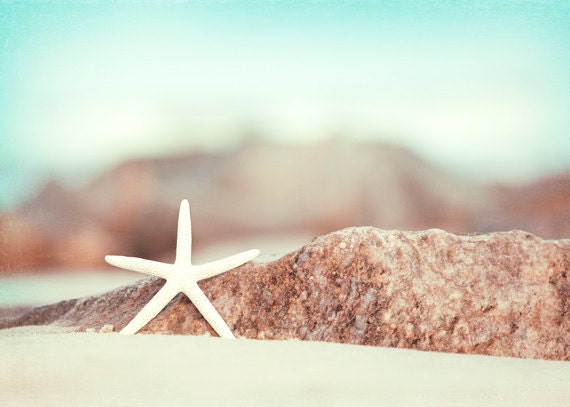 Starfish photography - beach photo - coastal wall art prints - seashore decor cottage sea shore white aqua blue light brown - 5x7 Photograph