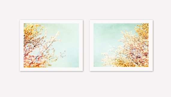 Photography Set - 2 two prints spring orange mint blue pastel teal aqua pale flower yellow nature prints wall art - Two 8x10 Photographs