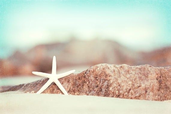 Seashore Photography - starfish beach photography coastal wall art aqua blue ocean decor white nautical - 8x12 Photograph, "Lucky Star"