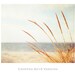Beach Grass Photography - print neutral light brown white photography seashore botanical art country rural countryside - 8x12 Photograph