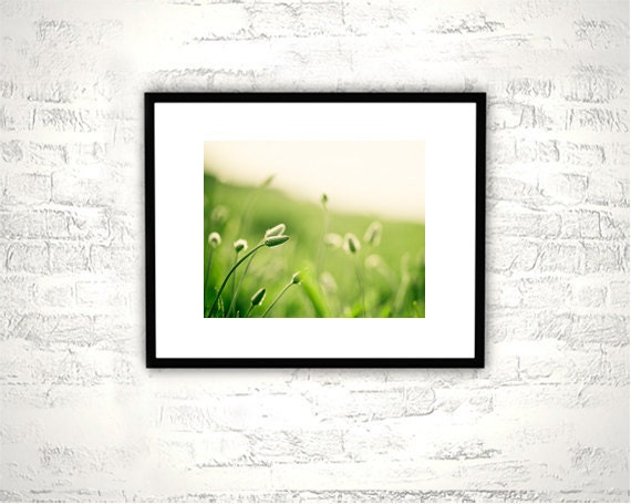 Nature Photography - green art fine art photography - botanical art prints - green decor fine art photo white - 8x10 Photograph, "The Dance"