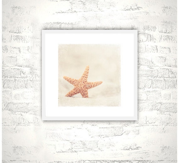 Beach Photography - beach photograph starfish sand cottage seashore sea shore fine art photo cream white beige wall art - 8x8 Photograph