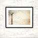 Fine Art Photography - birds on wire print beige cream light brown photo telephone pole wall art - 8x12 Photograph, "Enjoying the Moment"