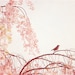 Nature Photography - birds tree pastel pink wall art pretty nursery art print light pale baby girl photo - 8x10 Photograph, "Little Dreamer"