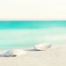 Beach Photography Set - turquoise coastal wall art seashell teal clouds photograph blue ocean birds water - Four 8x10 Photographs